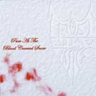 Pure As the Blood...