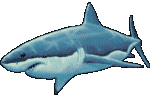 Great White