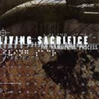 The Hammering Process