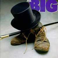 Mr. Big