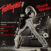 Shock Waves