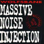 Massive Noise Injectoin