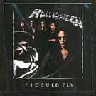 If I Could Fly